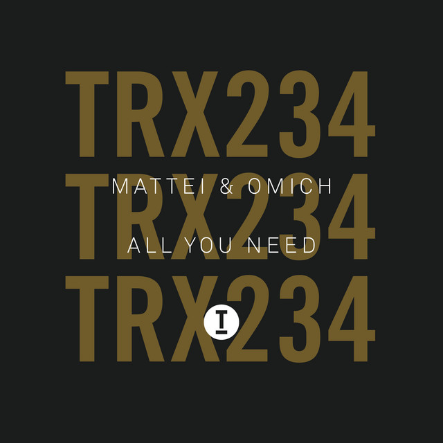 All You Need - Extended Mix album art