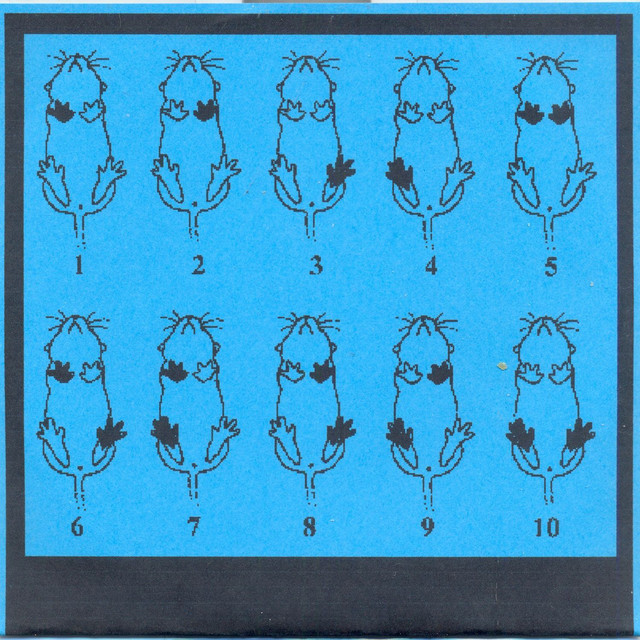 RFin5P cover art