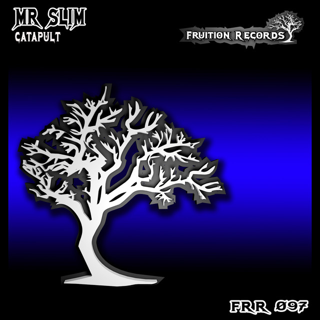 Mr Slim