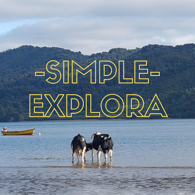 Simple cover