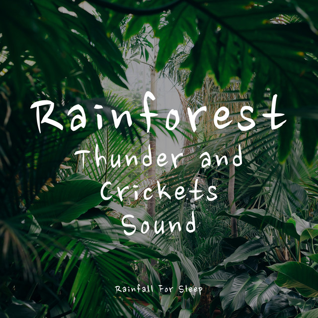 Rainforest, Thunder and Crickets Sound (Sleep Aid) cover art