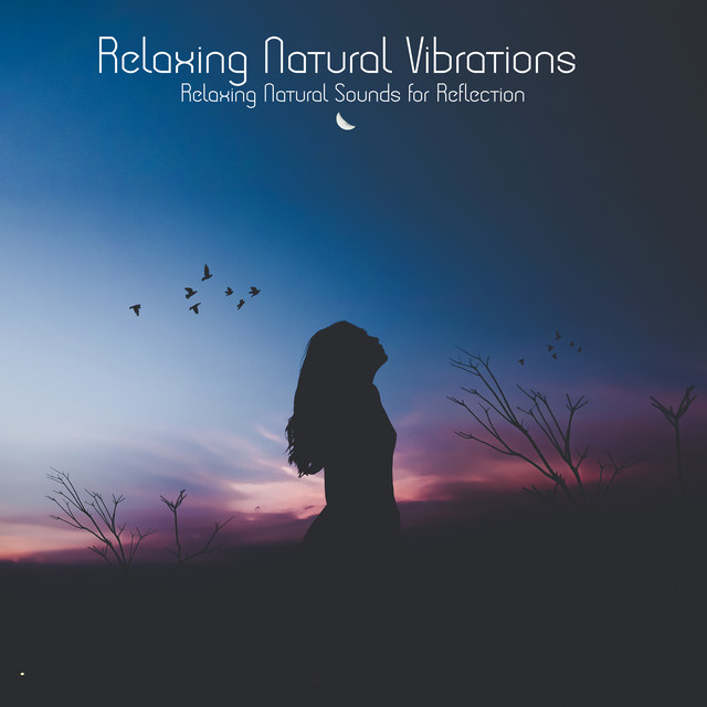 Relaxing Natural Vibrations cover art