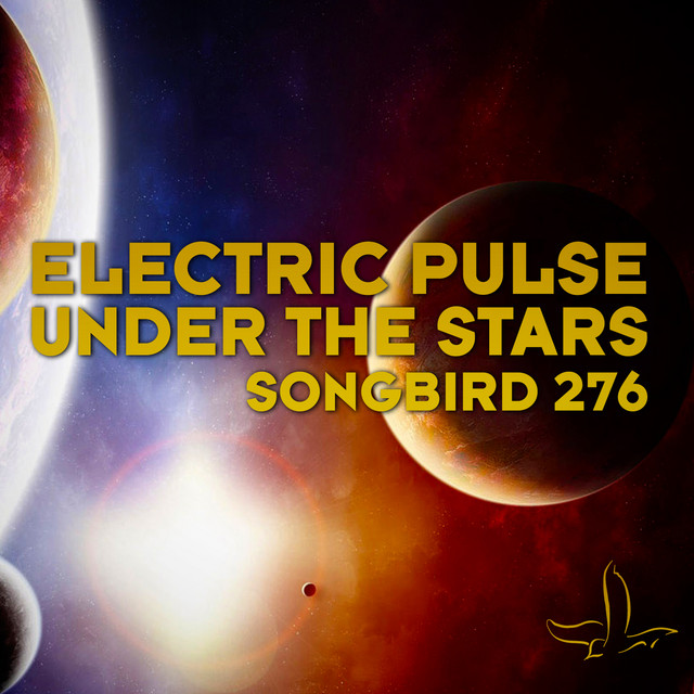 Electric Pulse Photo