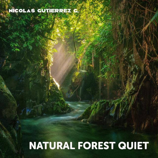 Natural Forest Quiet cover art