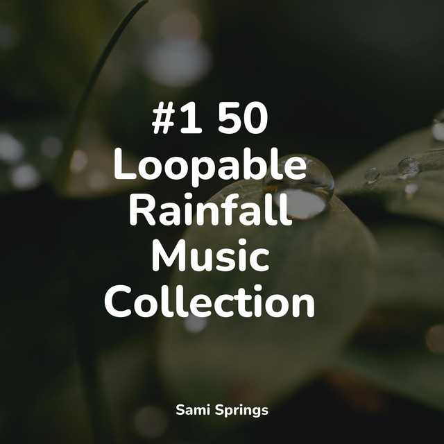 50 Perfect Focus Rain Sounds for Spa & Serenity - Album by Rain Sounds ...