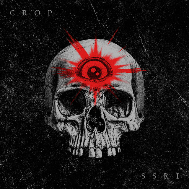 S.s.r.i cover