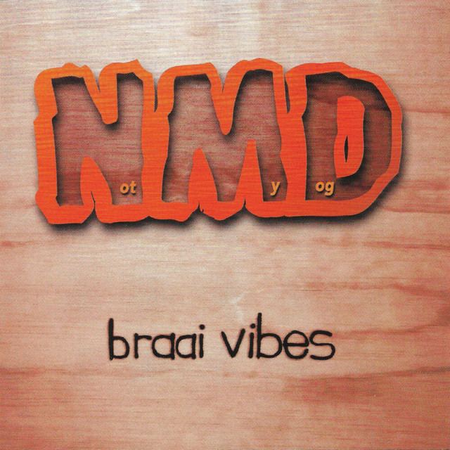 Braai Vibes cover art