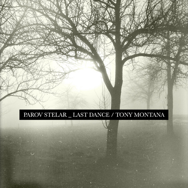 The Last Dance - Raul Irie Remix cover art