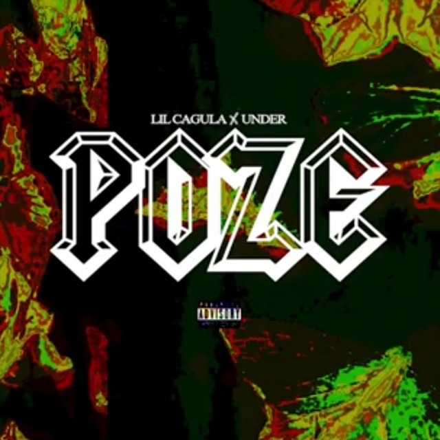 Poze cover art