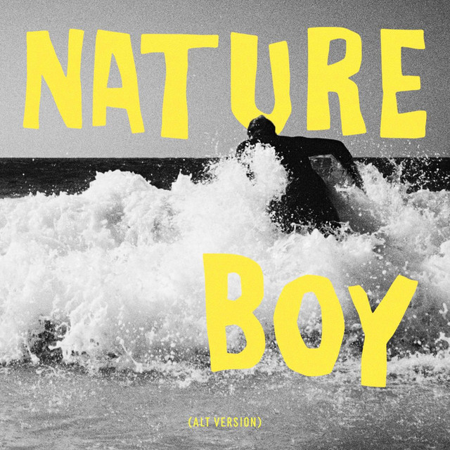 Capa de Nature Boy - Alt Version - Nuno Freitas