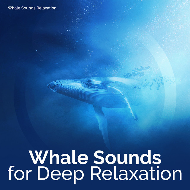 Create Genius - song and lyrics by Whale Sounds Relaxation | Spotify