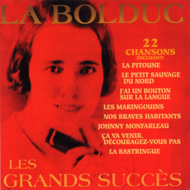 Les grands succès cover art