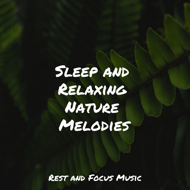 Sleep and Relaxing Nature Melodies - Album by Musica Relajante | Spotify