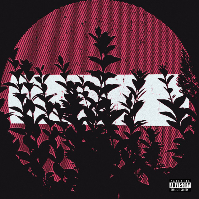 puls cover art