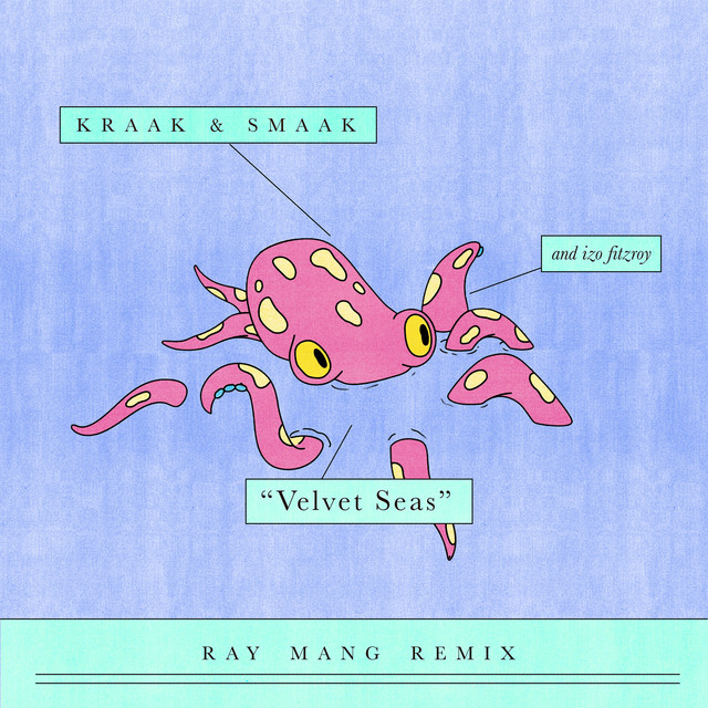 Velvet Seas (Ray Mang Remix) artwork