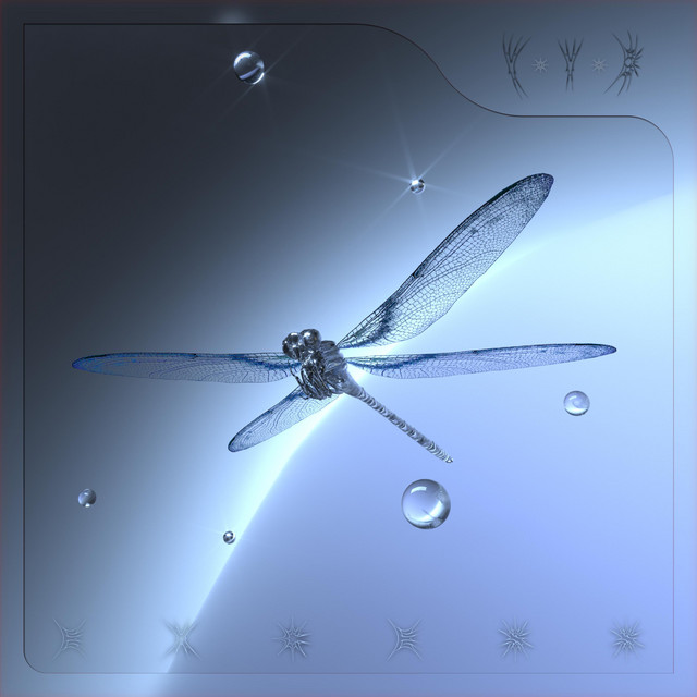 in your dream cover art