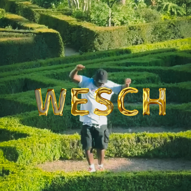 Wesch cover art