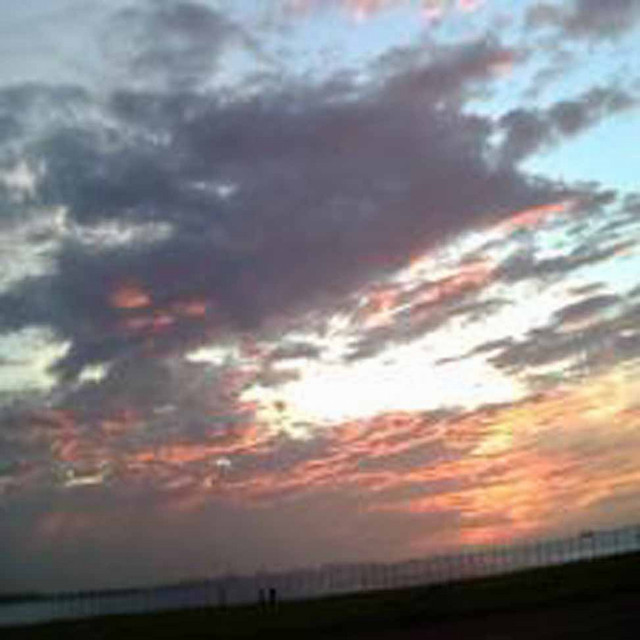 Terata Photo