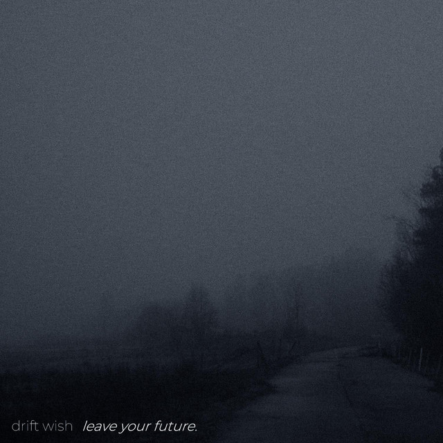 Обкладинка: leave your future. — DRIFT WISH