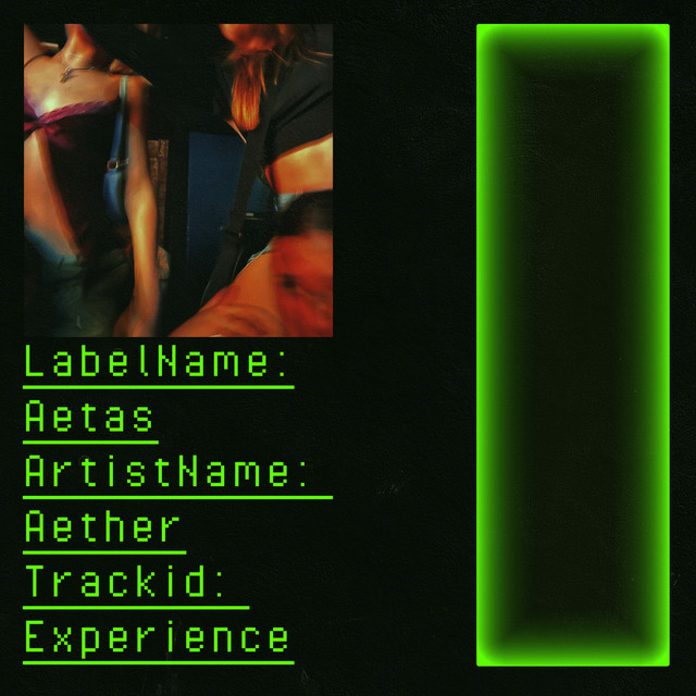 Experience (Techno Edit) cover art