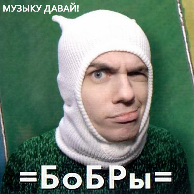 Бобры Photo