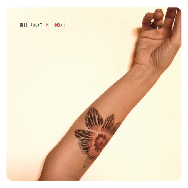 Bloodroot cover art