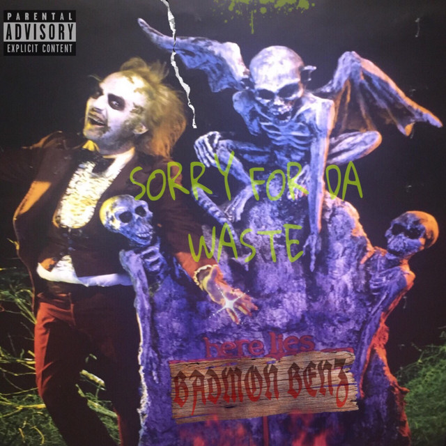 Sorry for the Waste cover art