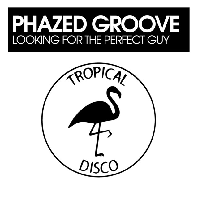 Looking For The Perfect Guy album art