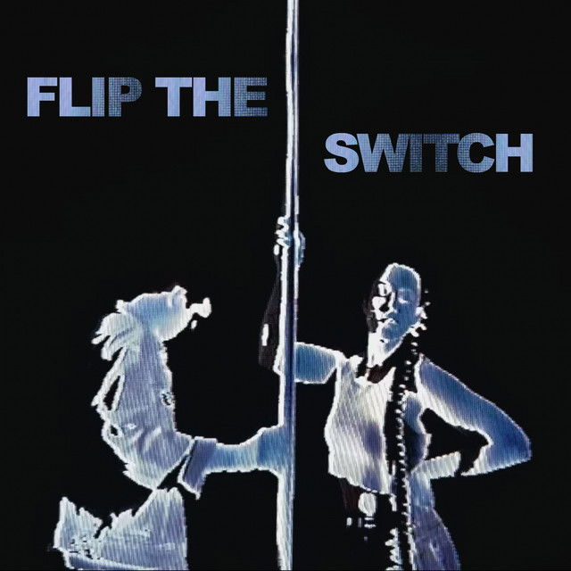 Flip The Switch cover art