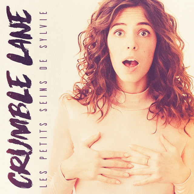 Les Petits Seins De Sylvie cover