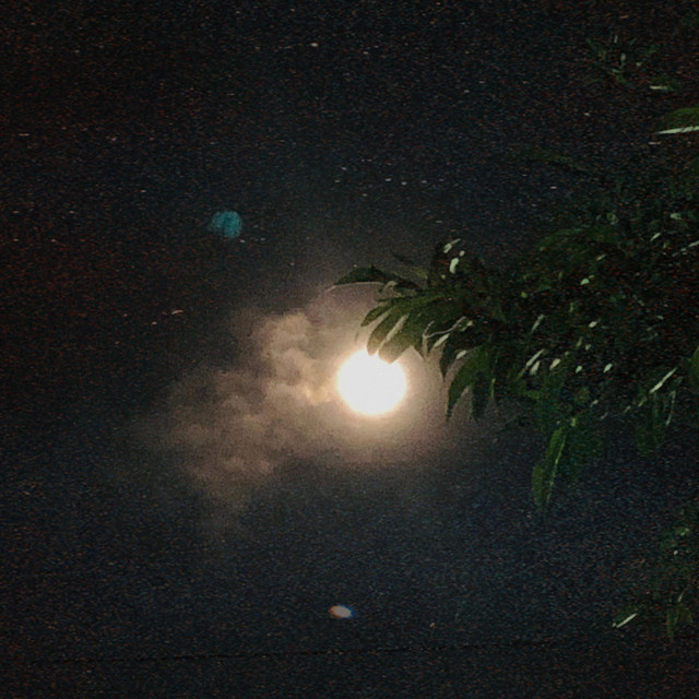 Fantasma cover art