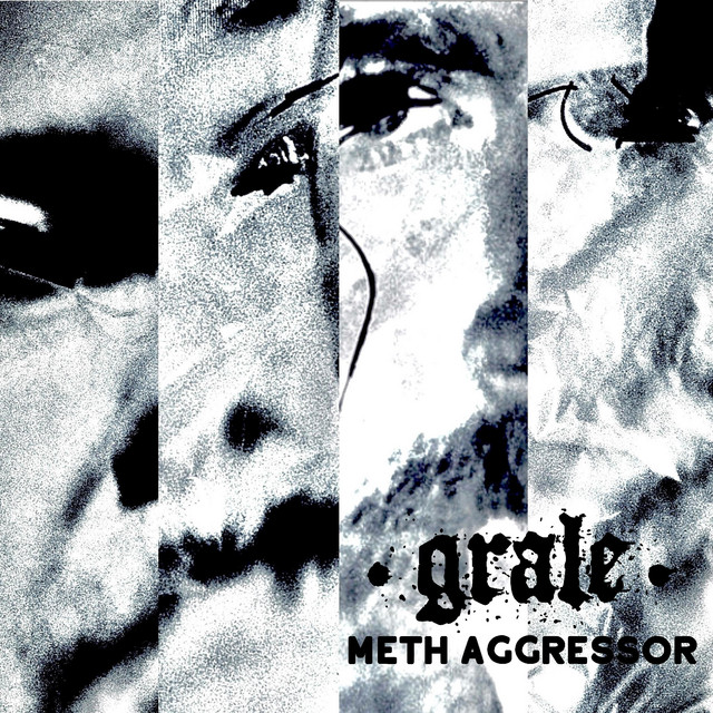 Meth Aggressor cover