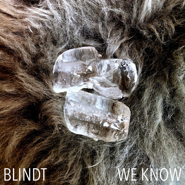 We Know cover artwork
