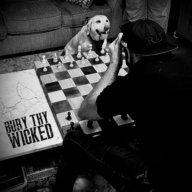 Checkmate! cover