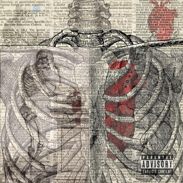 The Feel (Deluxe) cover art
