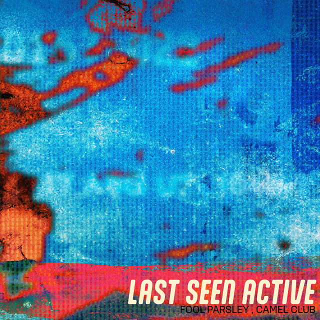 last seen active