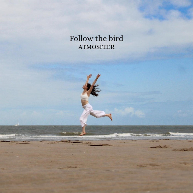 Follow the bird cover art