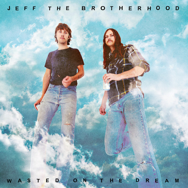 Wasted On The Dream cover art