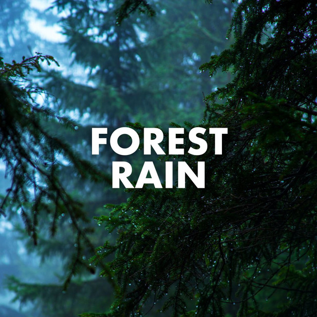Forest Rain cover art