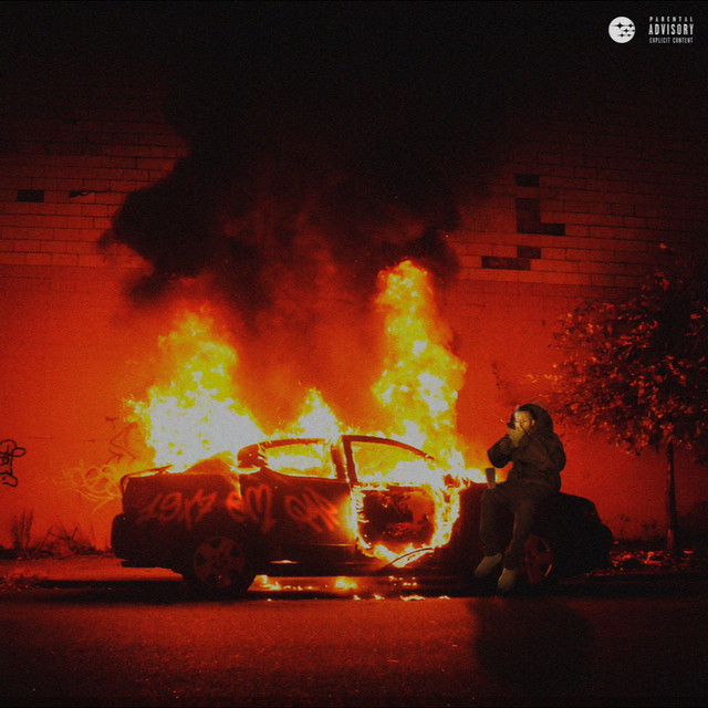 19X 7 em QAP cover art