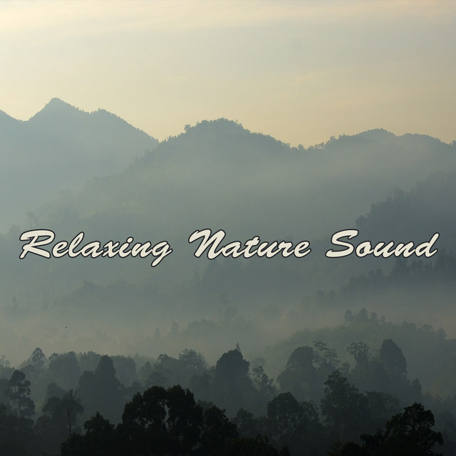 Relaxing Nature Sound - Album by Rest & Relax Nature Sounds Artists ...