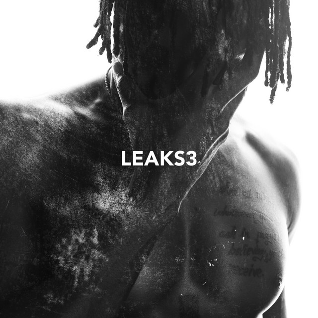 Leaks3 cover art