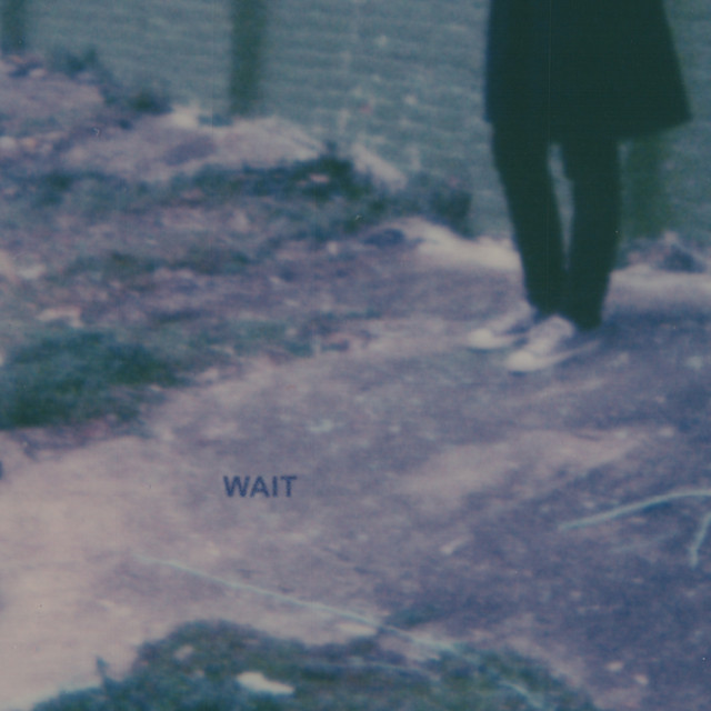 wait cover art