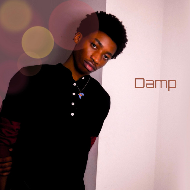 Damp cover art
