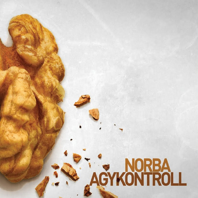 Agykontroll cover art