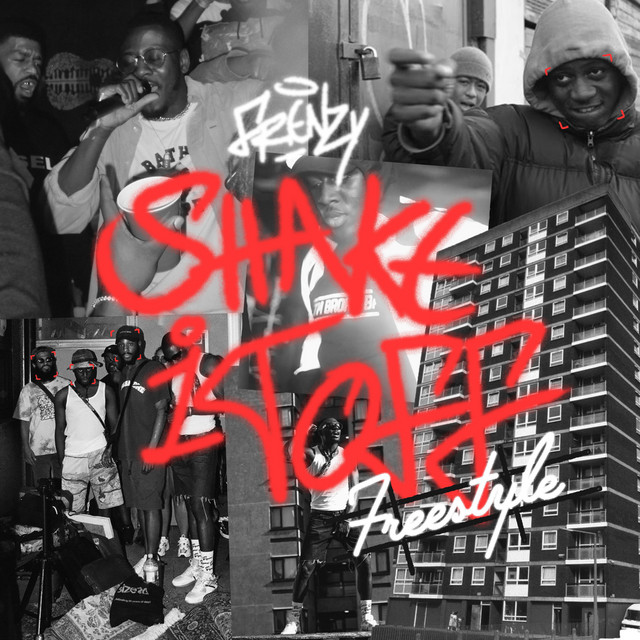 Shake It off Freestyle