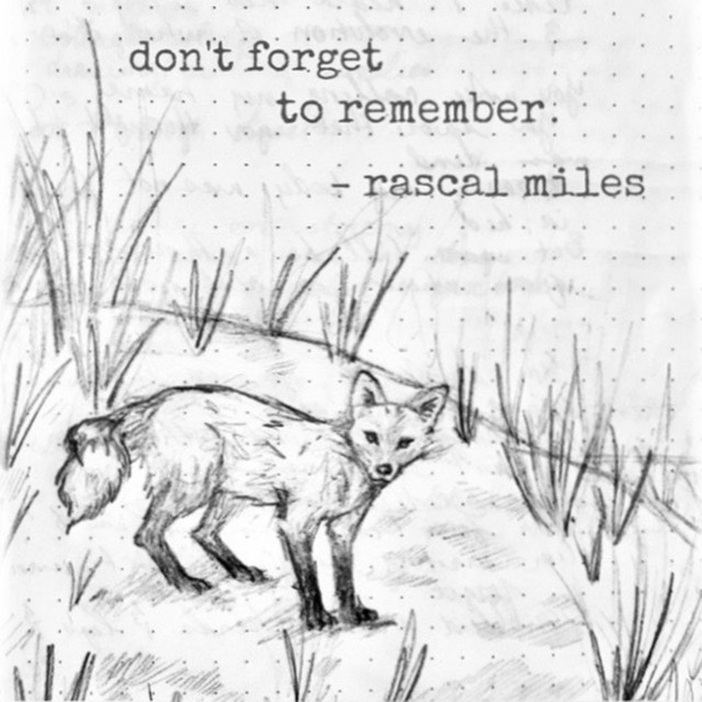 Don't Forget to Remember cover art