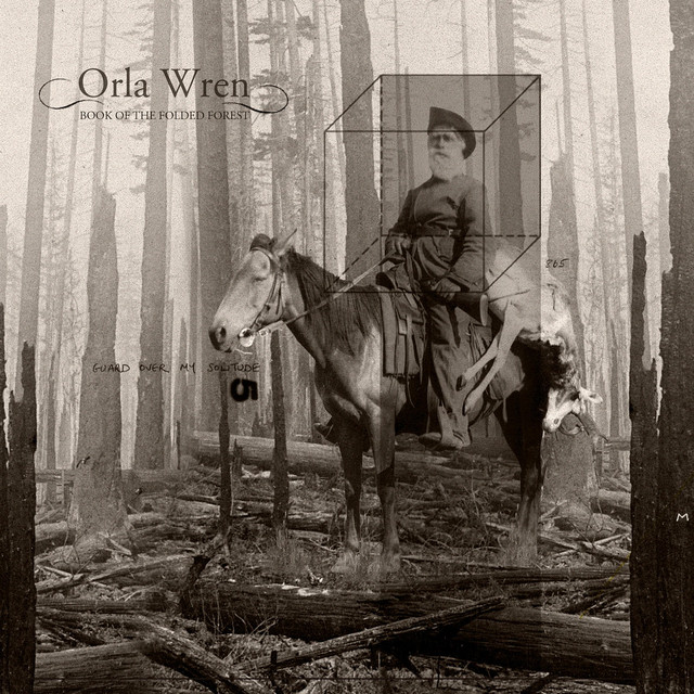 Orla Wren Photo