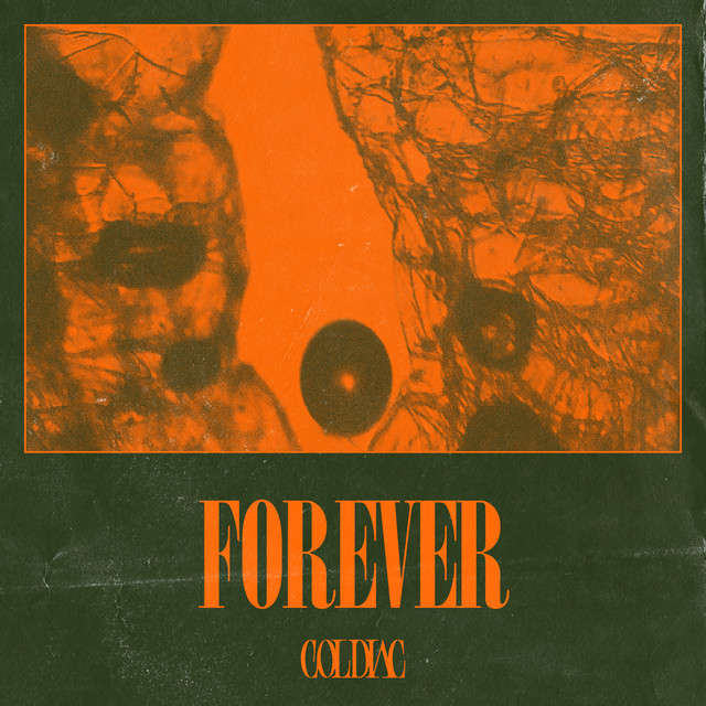 Forever cover art