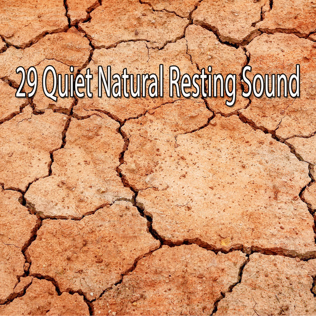 29 Quiet Natural Resting Sound - Album by Sleep Sounds of Nature | Spotify